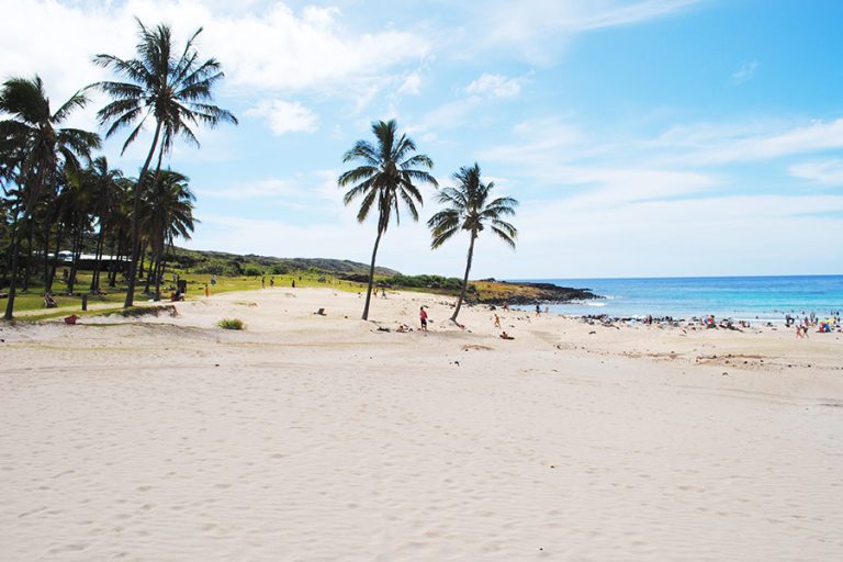 Sandy beach of Anakena with palm trees